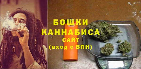твердый Белокуриха