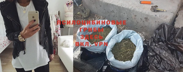 твердый Белокуриха