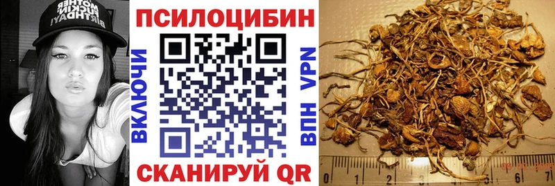 Купить закладки Гусиноозёрск Галлюциногенные грибы Psilocybine cubensis